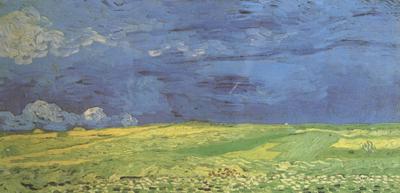 Vincent Van Gogh Wheat Field under Clouded Sky (nn04) Germany oil painting art